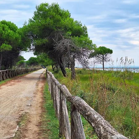Apartment Enjoy The Breeze In Our Colorful Flat Bibione